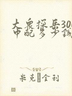 大众探岳300中配多少钱 大众探岳300中配多少钱