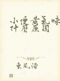 小便黄气味大是什么原因 小便黄气味大是什么原因