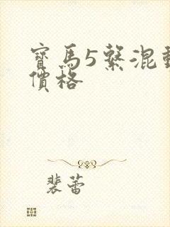宝马5系混动版价格