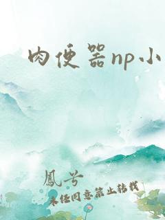 肉便器np小说