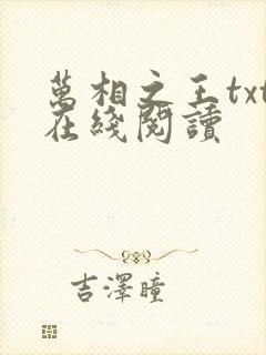 万相之王txt在线阅读