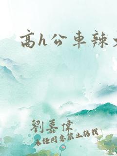 高h公车辣文