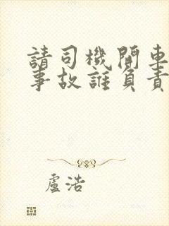 请司机开车出了事故谁负责