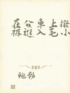 在公车上拨开内裤进入毛小说
