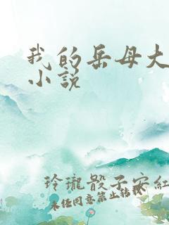 我的岳母大人,小说