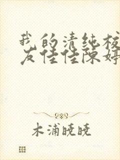 我的清纯校花女友佳佳陈婷小说