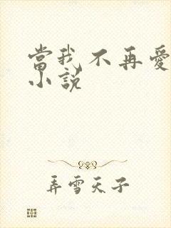 当我不再爱你 小说