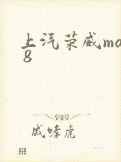 上汽荣威max 8