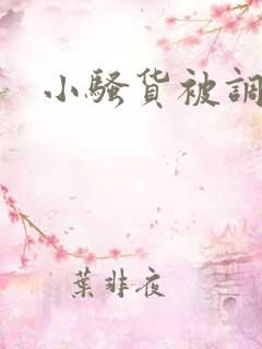 小骚货被调教