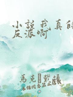 小说 我真的是反派啊