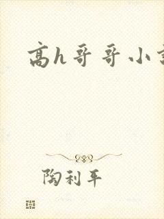 高h哥哥小说