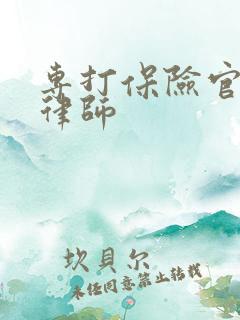 专打保险官司的律师
