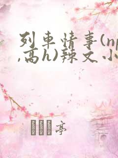 列车情事(np,高h)辣文小
