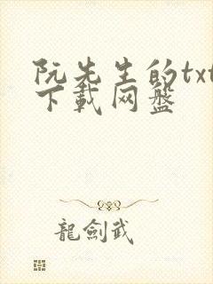 阮先生的txt下载网盘