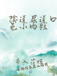 阴道尿道口长白色小肉粒
