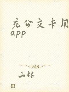 充公交卡用什么app