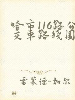 哈市116路公交车路线图