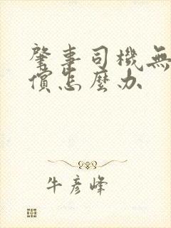 肇事司机无力赔偿怎么办