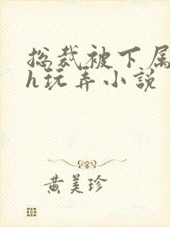 总裁被下属调教h玩弄小说