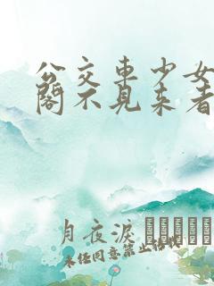 公交车少女笔趣阁不见来者