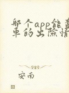 哪个app能查车的出险情况