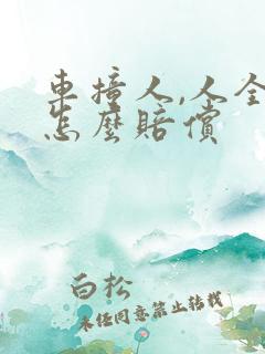 车撞人,人全责怎么赔偿