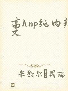 高hnp纯肉辣文