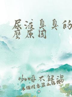 尿液臭臭的是什么原因