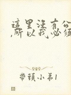 这里没有公交车,所以我必须打车英语