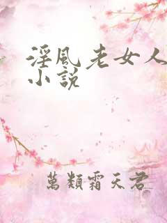 淫风老女人全部小说