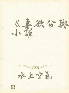 《妻欲公与媳》小说