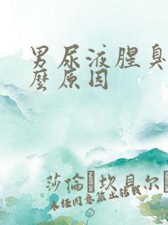 男尿液腥臭是什么原因
