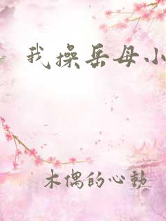 我操岳母小说