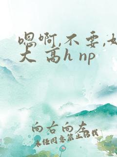 嗯啊,不要,好大 高h np