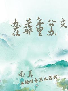 办老年公交车卡在哪里办