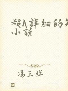 超h详细的短篇小说