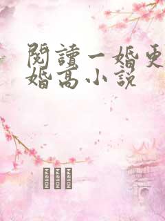 阅读一婚更比一婚高小说