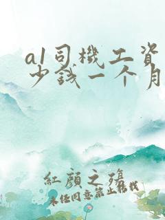 a1司机工资多少钱一个月