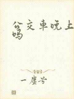 公交车晚上有车吗