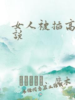 女人被插高潮小说 女人被插高潮小说