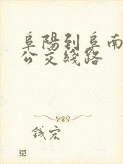 阜阳到阜南城际公交线路