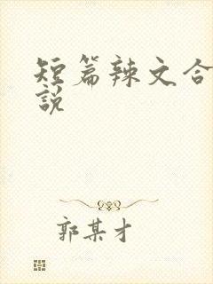 短篇辣文合集小说