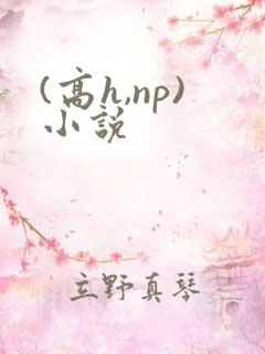 (高h,np)小说