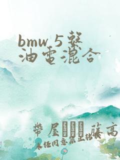 bmw 5系 油电混合