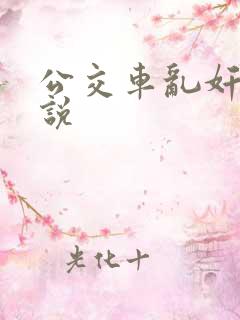 公交车乱奸记小说 公交车乱奸记小说
