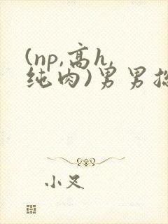 (np,高h,纯肉)男男总攻