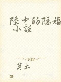 陆少的隐婚罪妻 小说