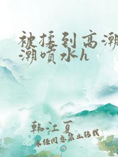 被揉到高潮失禁潮喷水h