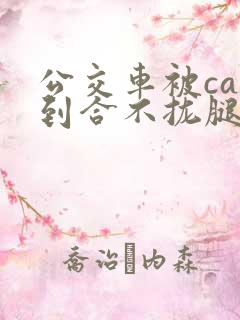 公交车被cao到合不拢腿图片