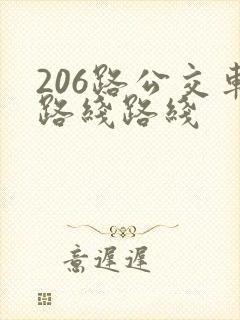 206路公交车路线路线